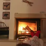 Papa Moose * פמפורובו