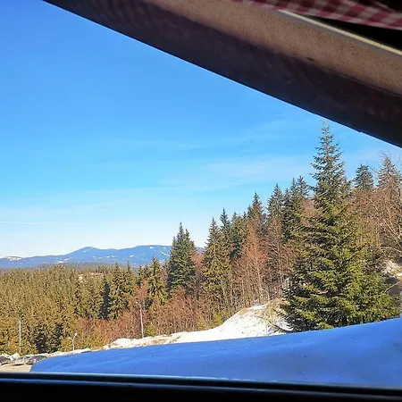 Papa Moose * Pamporovo