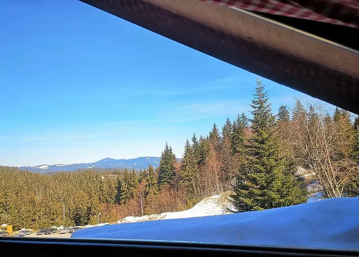 Papa Moose * Pamporowo