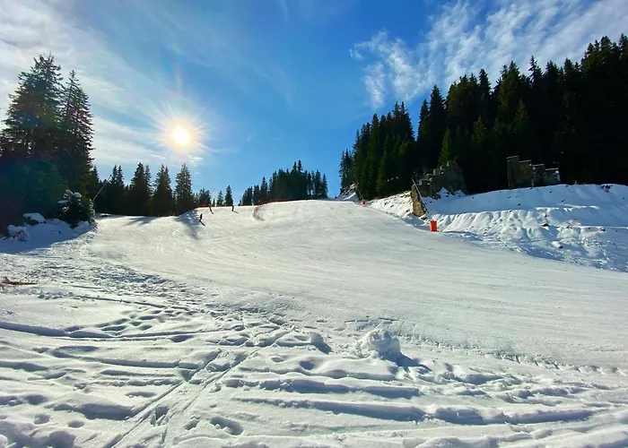 Papa Moose Pamporowo